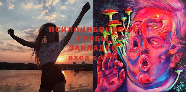 дживик Алзамай